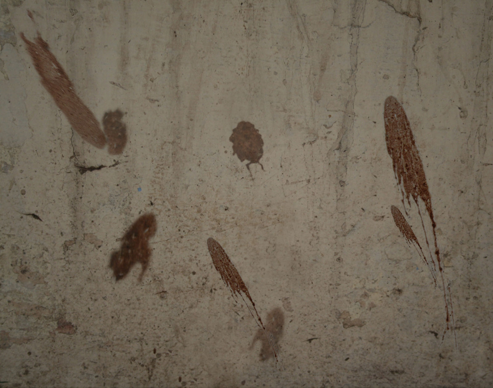 Surekha, Nobody’s Walls, 2008