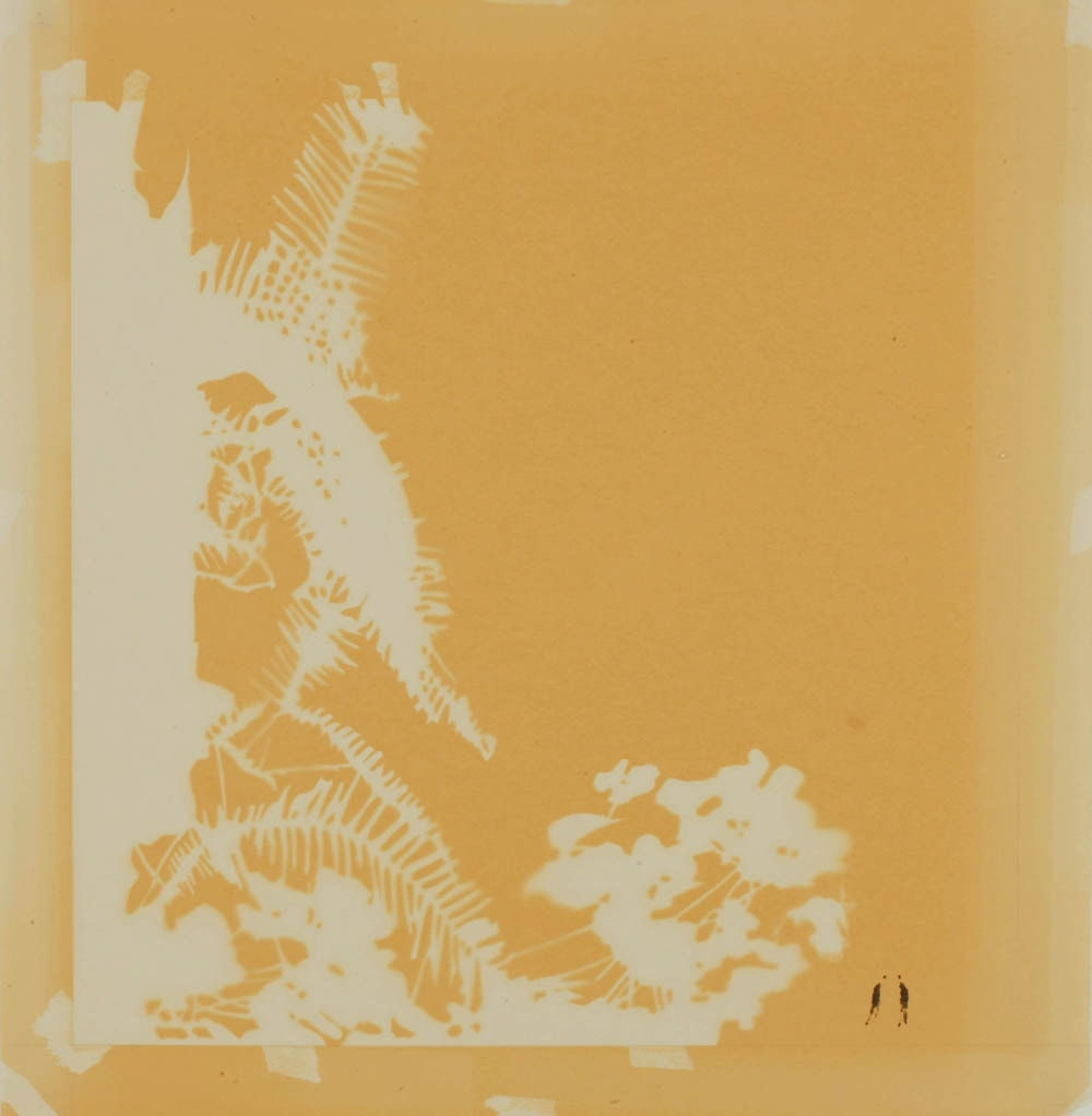 Carol Lee Mei Kuen, Wonderland (12:30pm 03_02_09), 2009