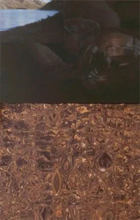 John Young, Nature Study No.2, 2002