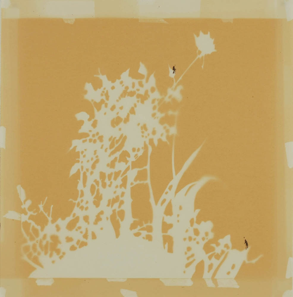 Carol Lee Mei Kuen, Wonderland (11:35am 04_02_09), 2009