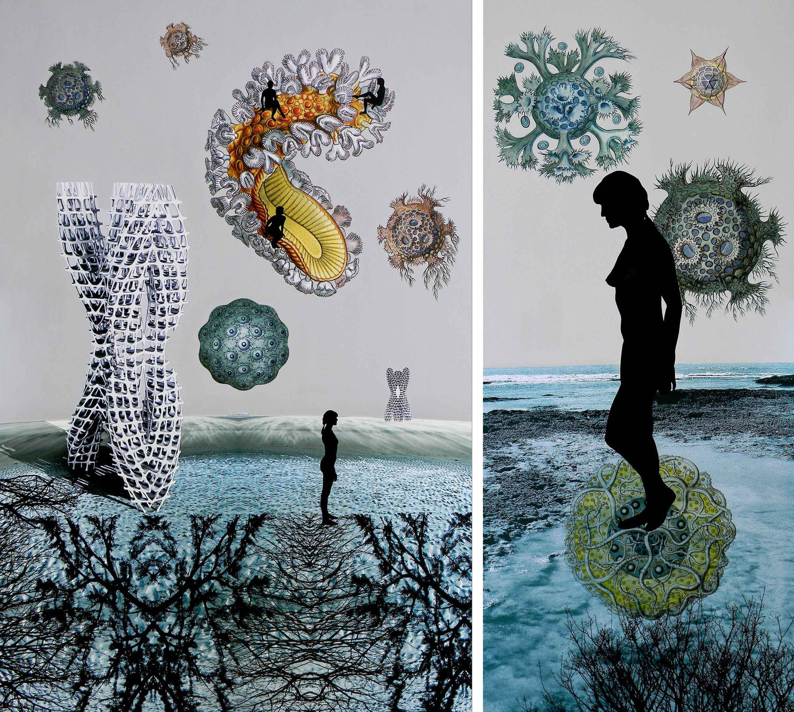 Sonia Mehra Chawla, Transitory Shores & Biomorphic II, 2013
