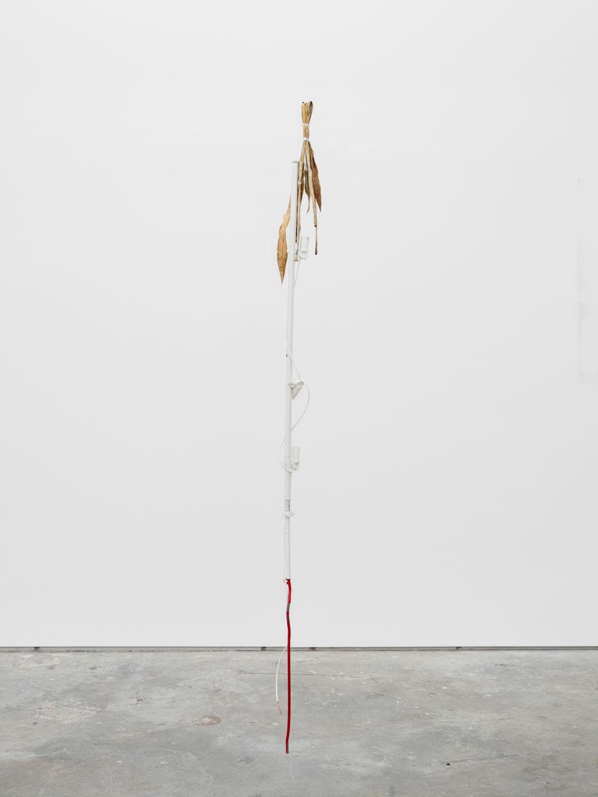 Maarten Van Roy, Arrow of Time (God Bleß) , 2024