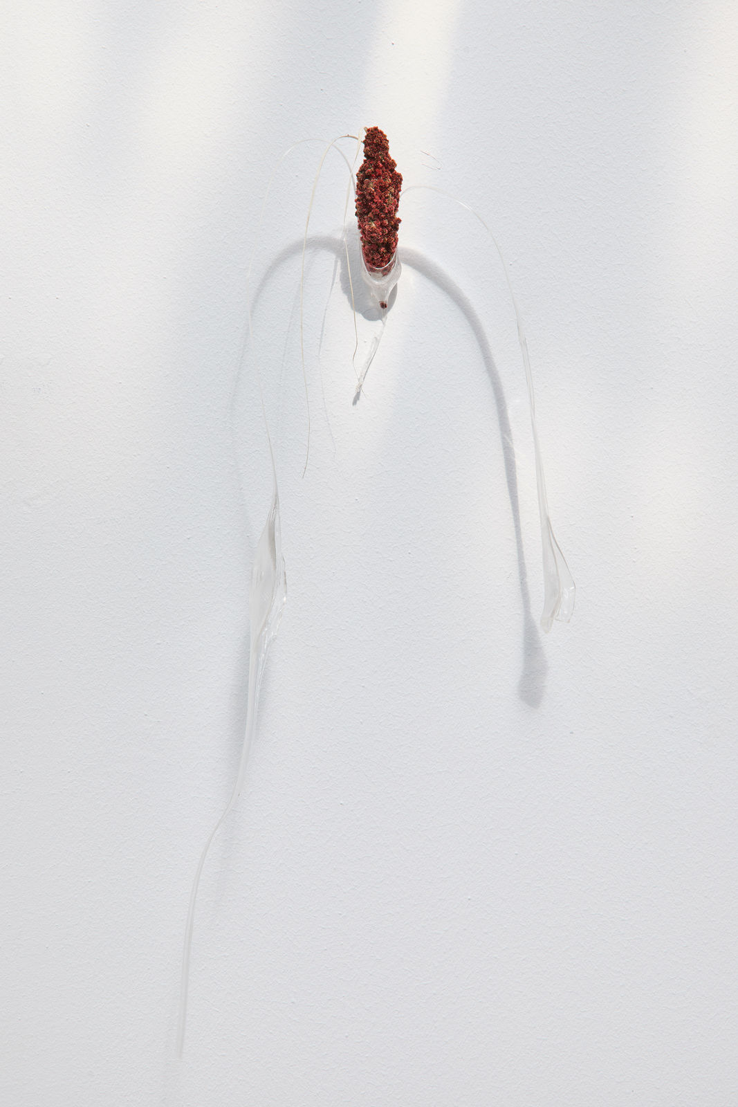 Luca Vanello, Unaware scribbles undress like foliage veins (Fragments 15), 2023