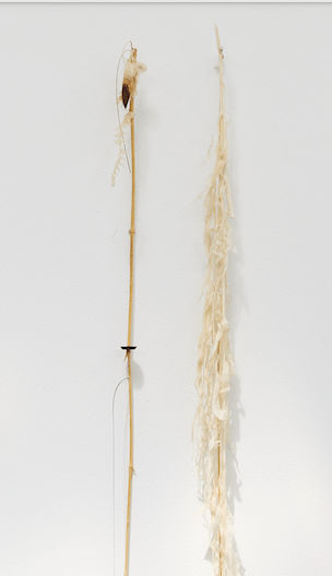 Luca Vanello, Unaware scribbles undress like foliage veins (Fragments 12), 2023