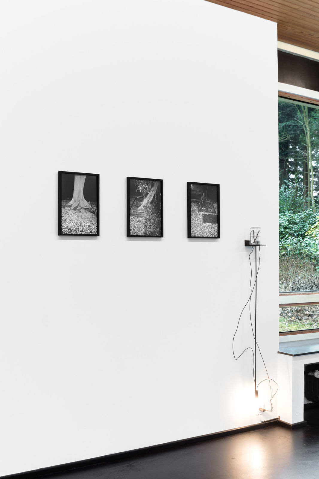 Nicolas Bourthoumieux, Deuxième Nature (I), 2023