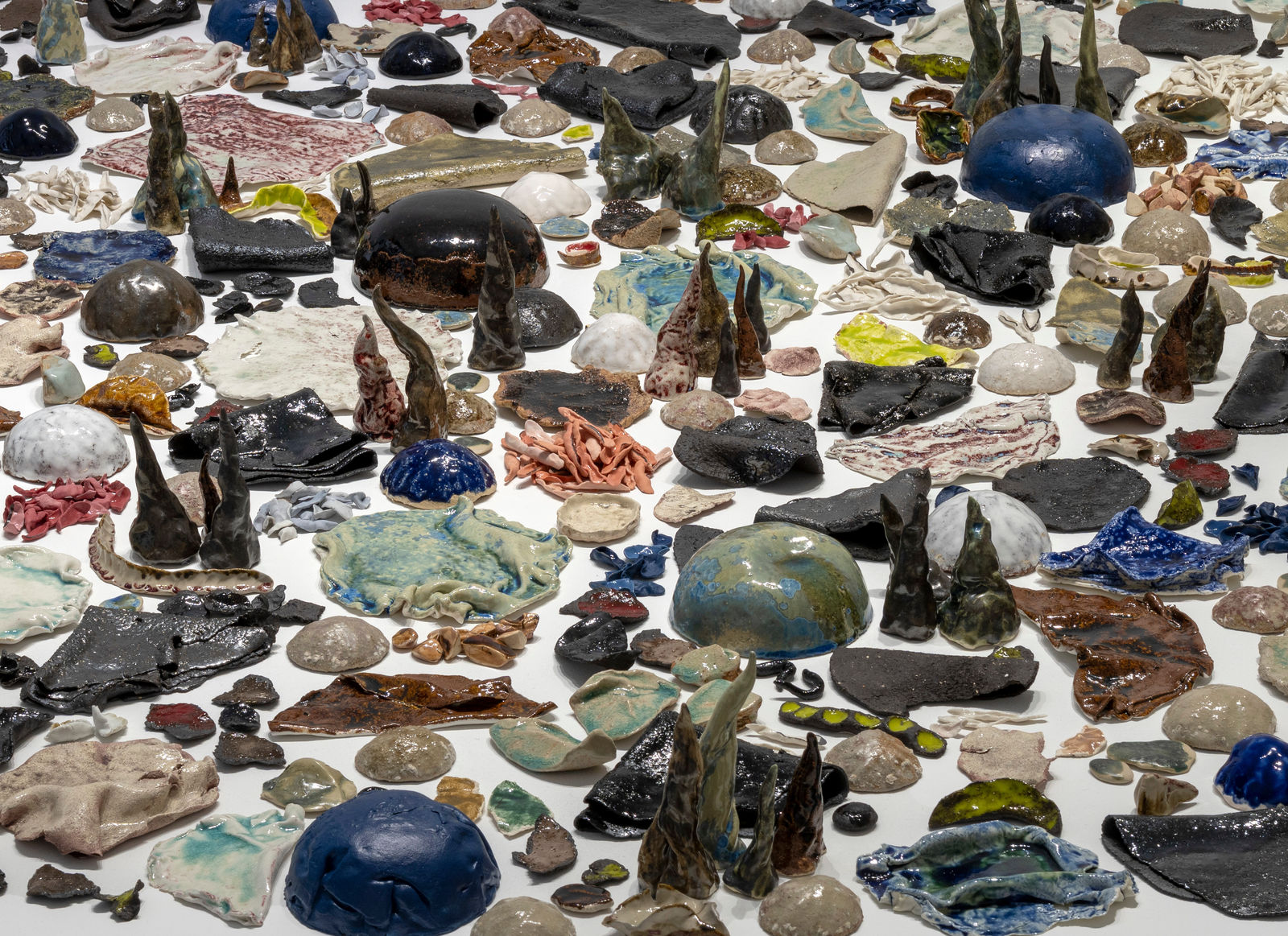 Rajyashri Goody, Losing all Taste, 2024