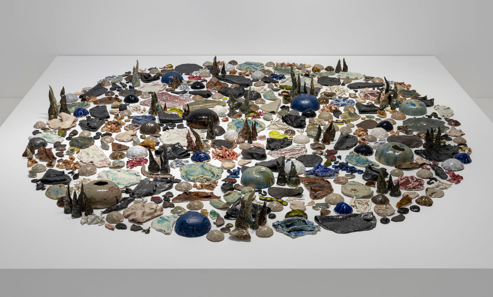 Rajyashri Goody, Losing all Taste, 2024