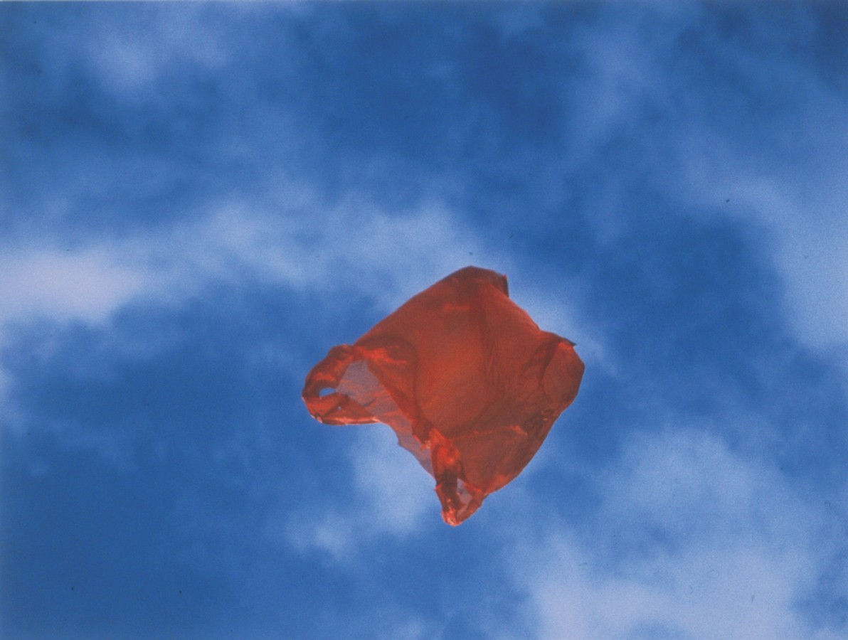 Dennis Adams, AIRBORNE_ Patriot, 2002