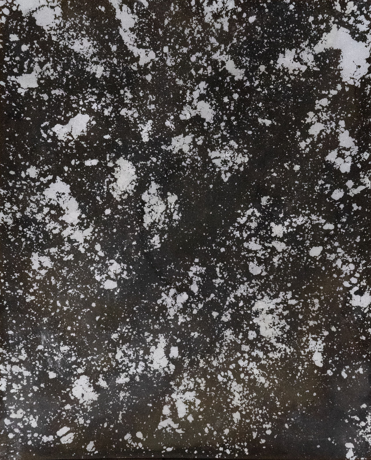 Daniel Hojnacki, Untitled 2