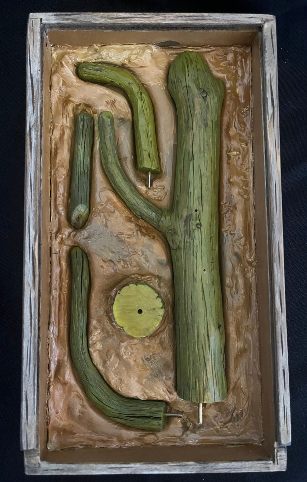 Cactus Box by Wes Mills