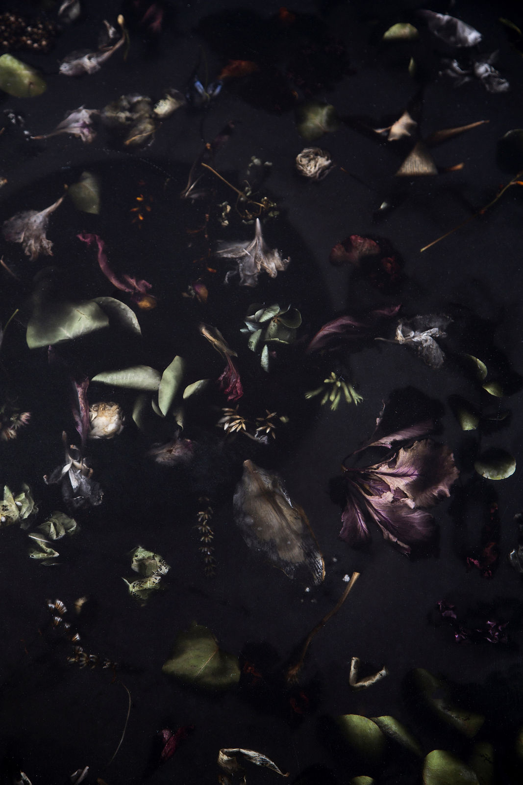 Marcin Rusak, Flora Table 120, 2015