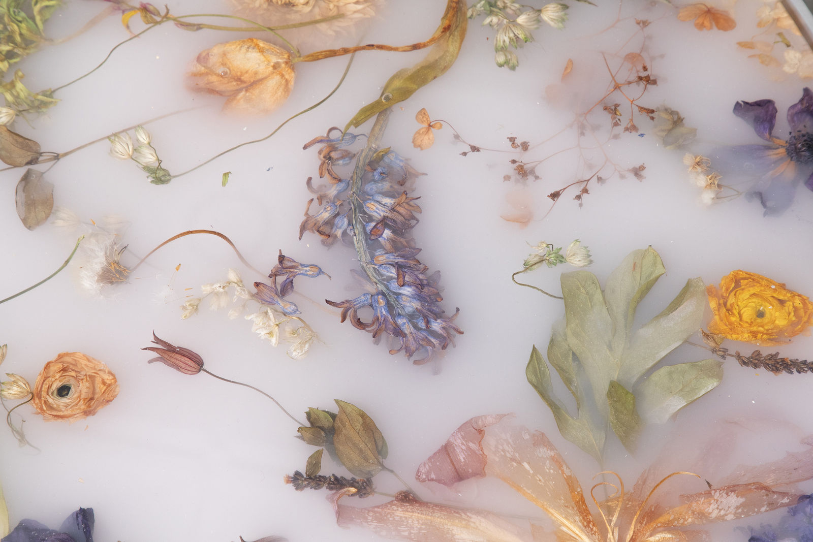 Marcin Rusak, Flora Low Coffee Table 116, 2022