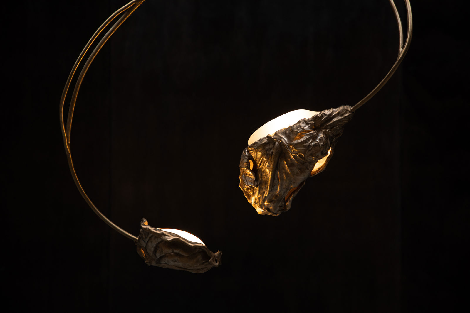 Marcin Rusak, Protoplasting Nature Chandelier 85, 2024