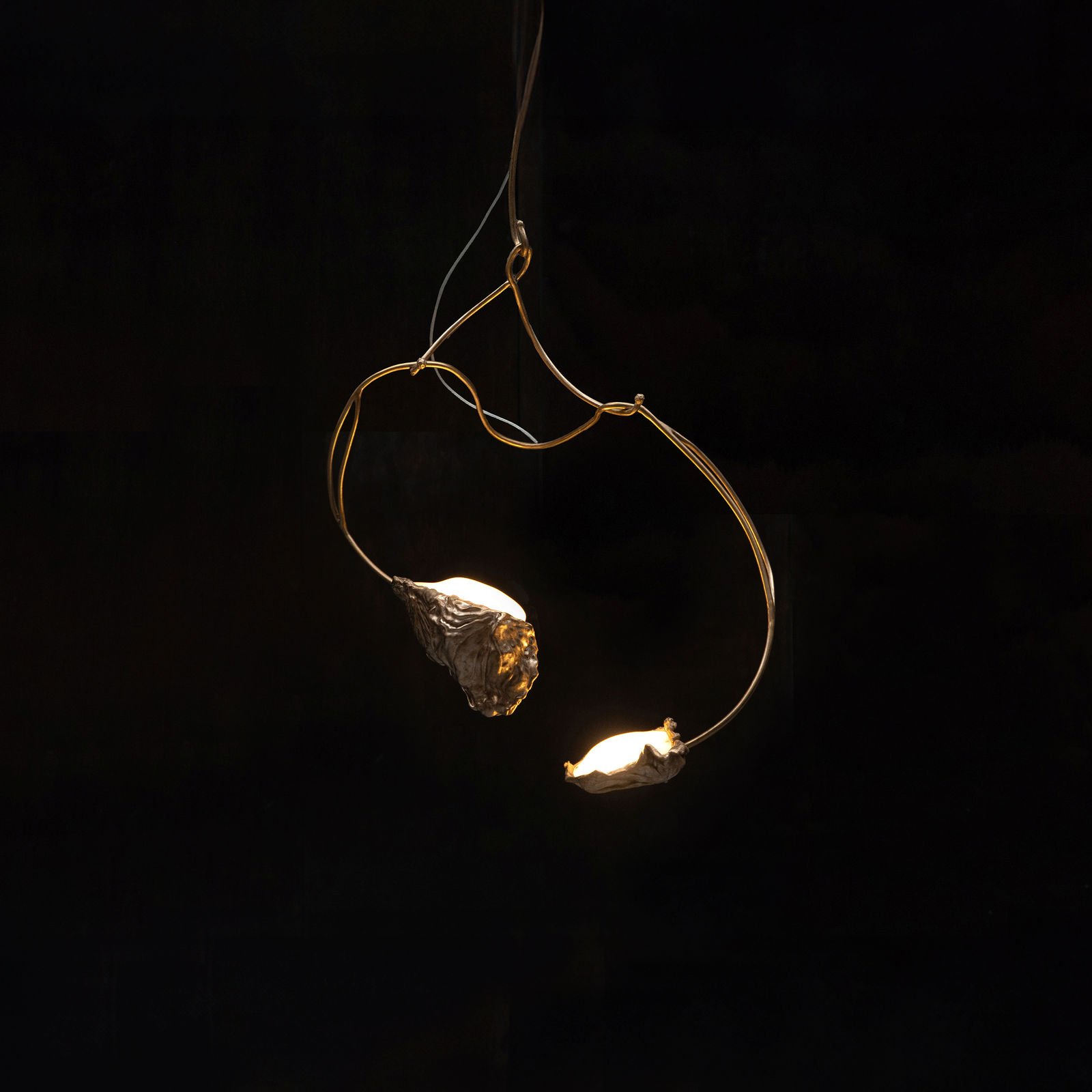 Marcin Rusak, Protoplasting Nature Chandelier 85, 2024