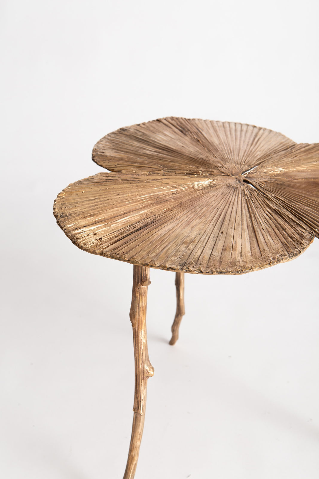 Clotilde Ancarani, Fan Table Green, 2023