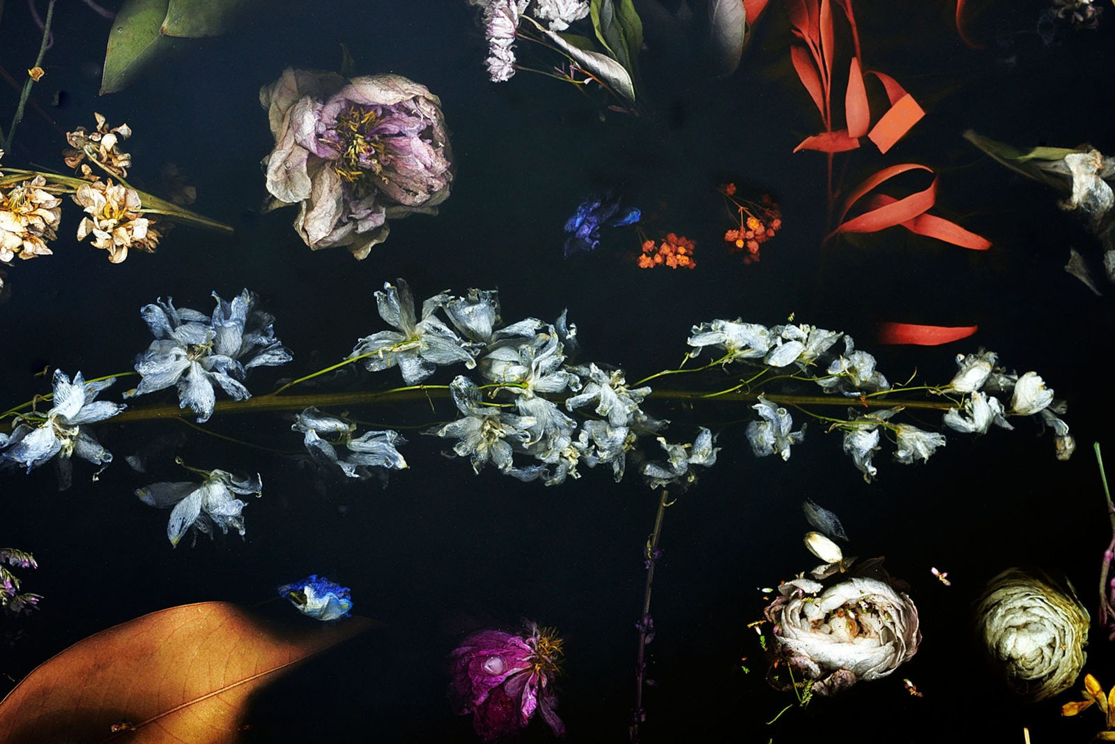 Marcin Rusak, Flora Table 274, 2018