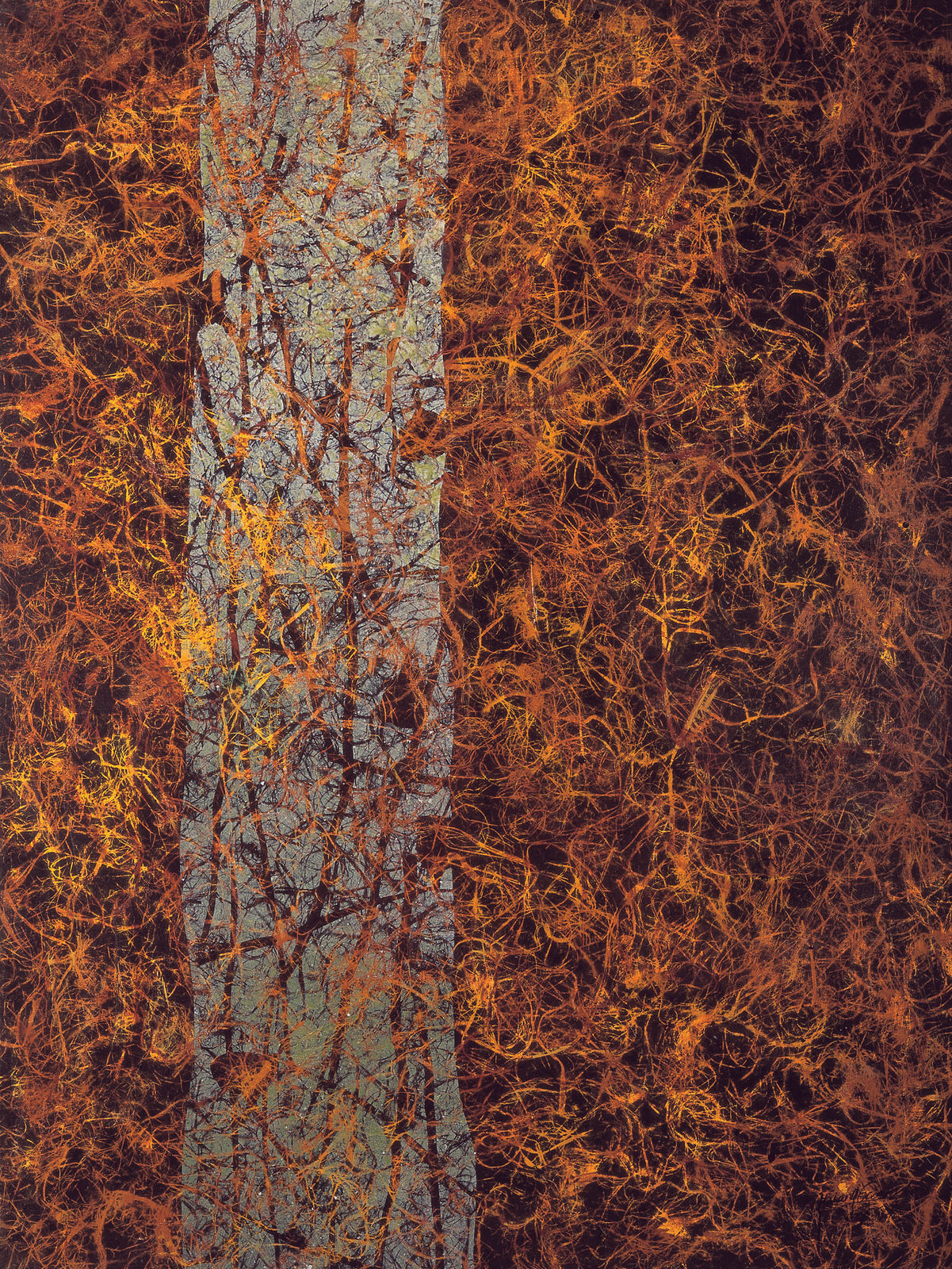 Huang Guanyu 黃冠余, Golden Glow《金輝 》, 2005