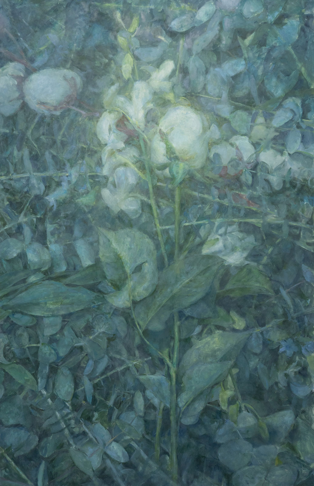 Thomas Ngan 顏耀明, Perch《棲居》, 2025