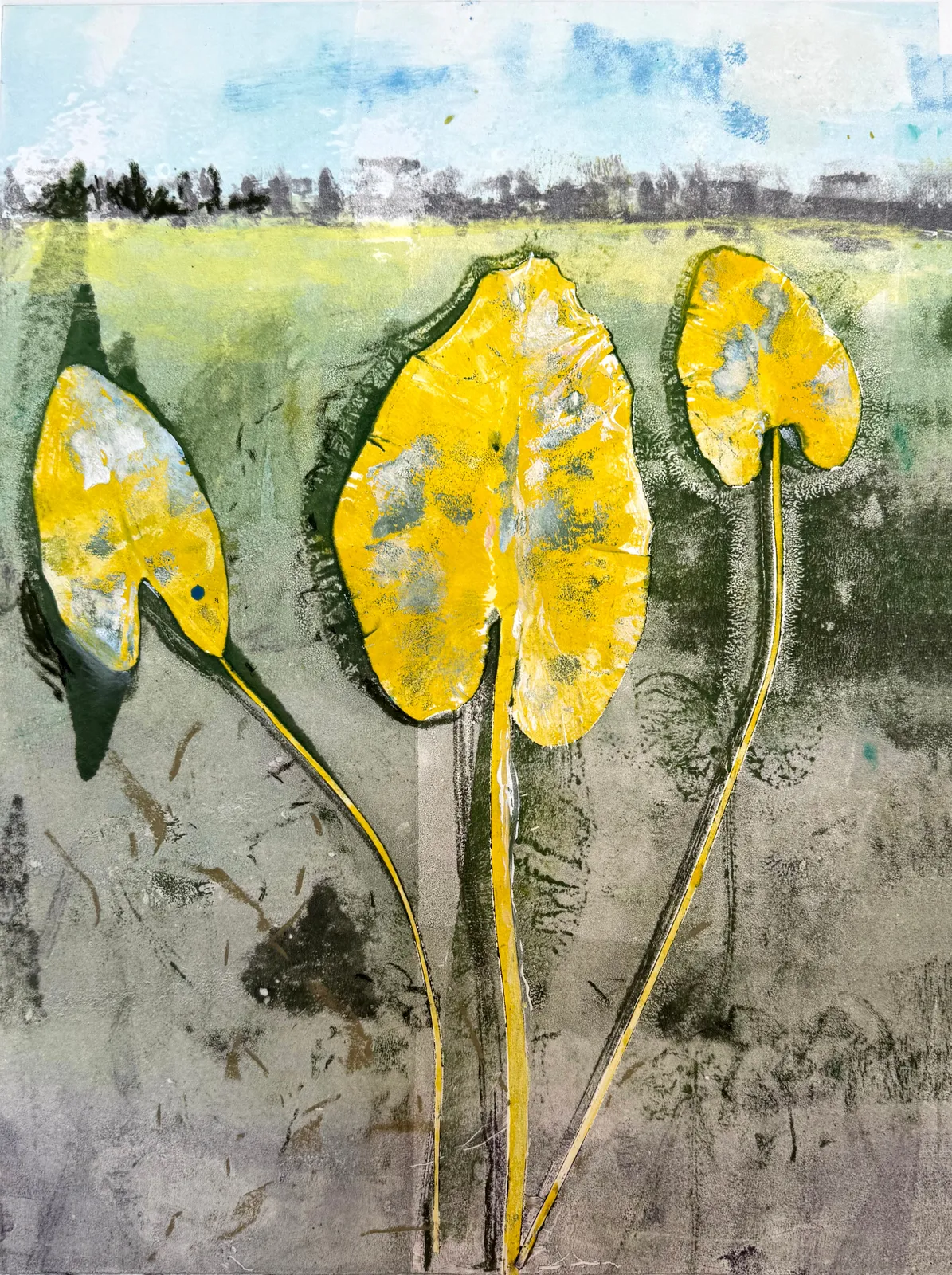 Laurie Dolphin, WATERLILIES #3, 2025