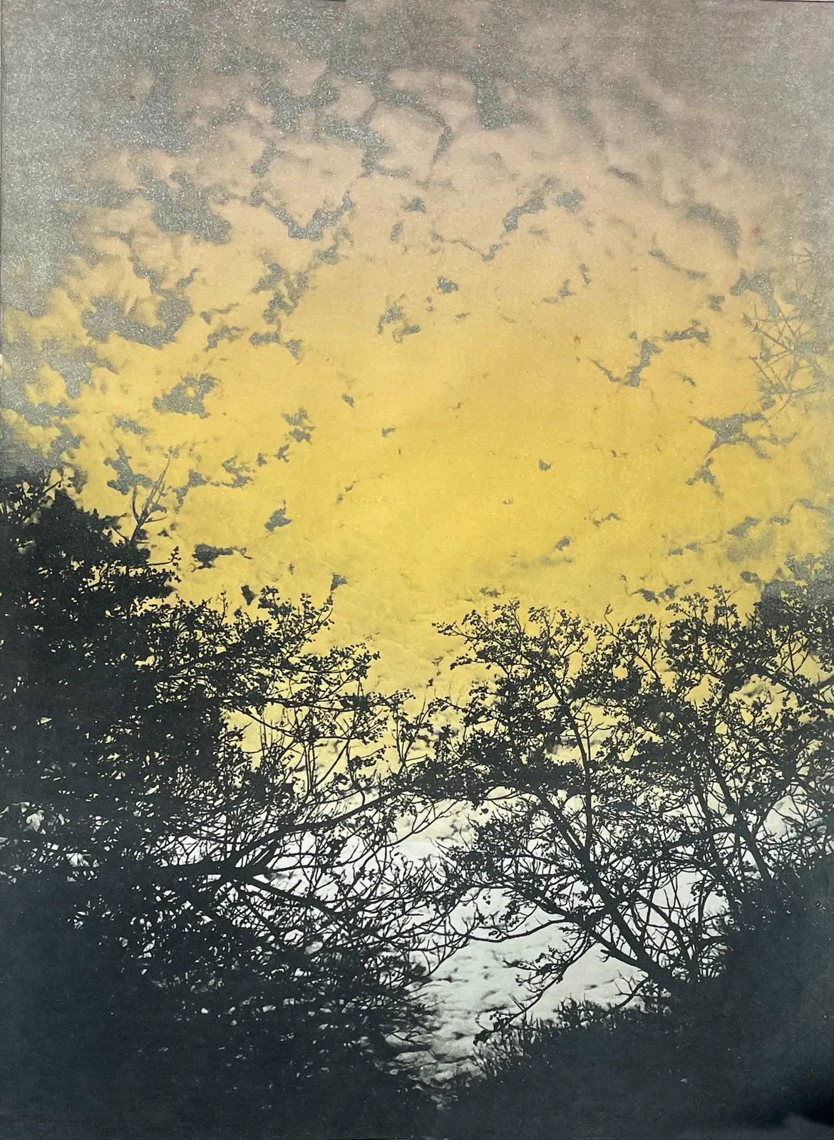 Laurie Dolphin, SUNSET ON THE LAKE, 2023