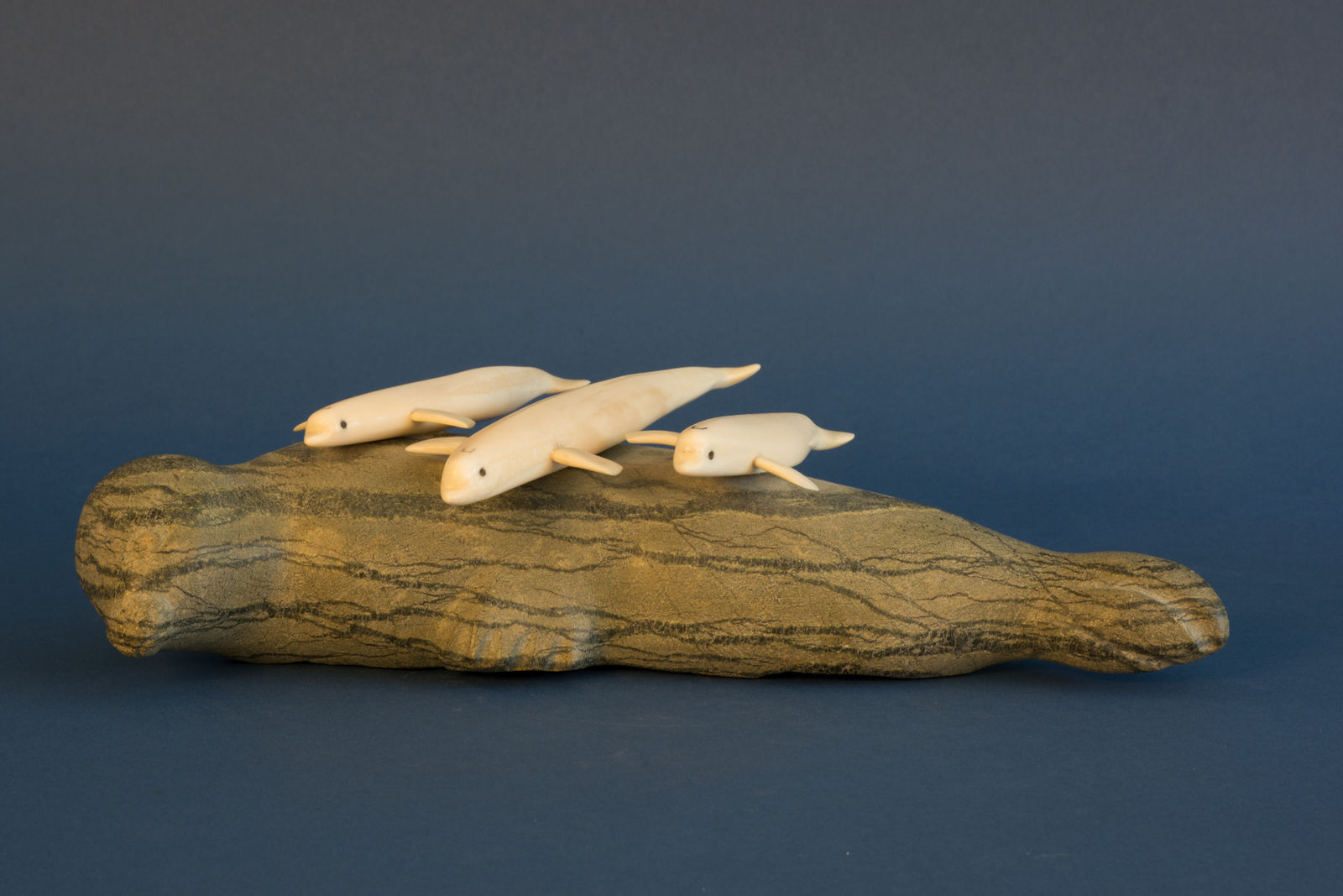 Unidentified / non-identifié, Beluga & Seals / beluga & phoques, ca. 1975