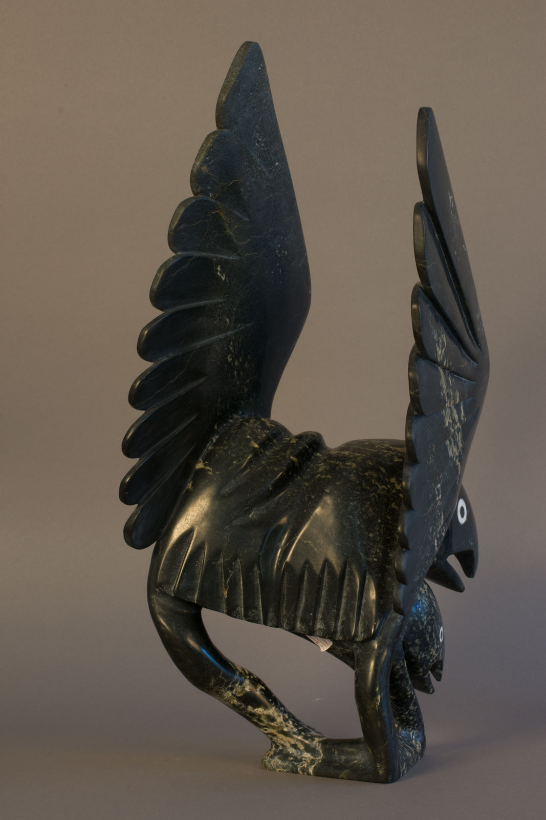 Toonoo Sharky, Bird & Fish / Oiseau & poisson, 2002