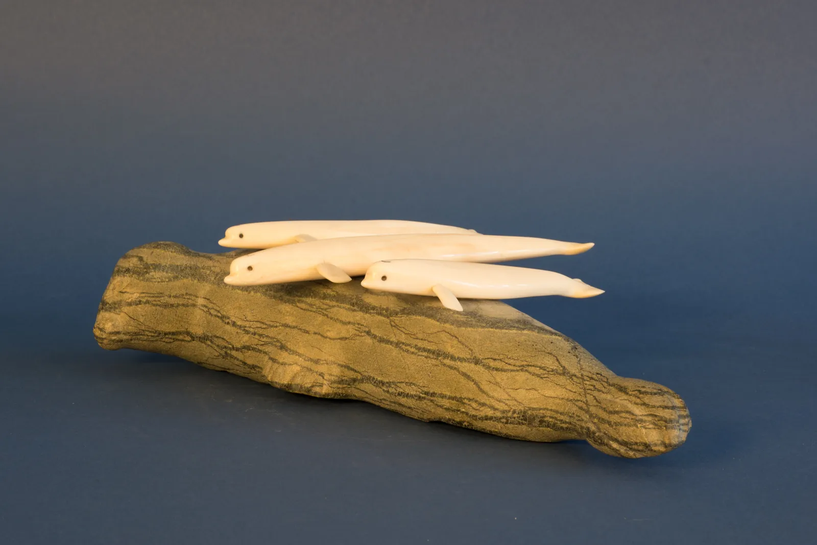 Unidentified / non-identifié, Beluga & Seals / beluga & phoques, ca. 1975