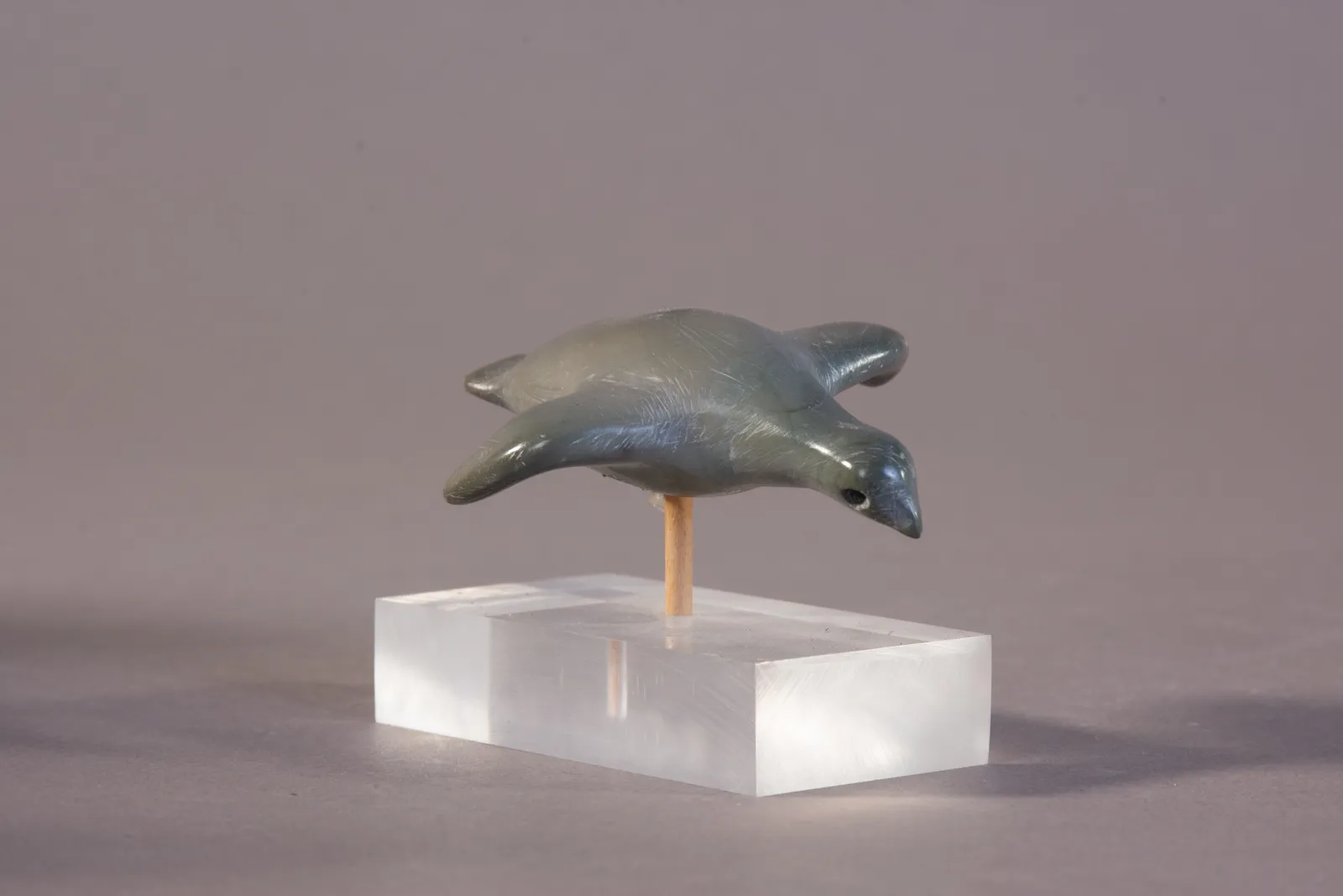 Unidentified / non-identifié, Bird in Flight / Oiseau en vol, ca. 1972