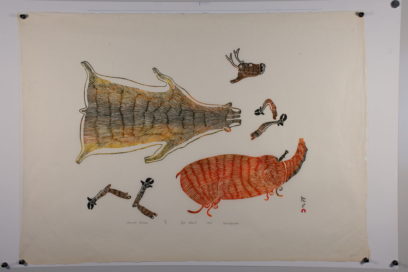 Kananginak Pootoogook, Skinned Caribou, 1973