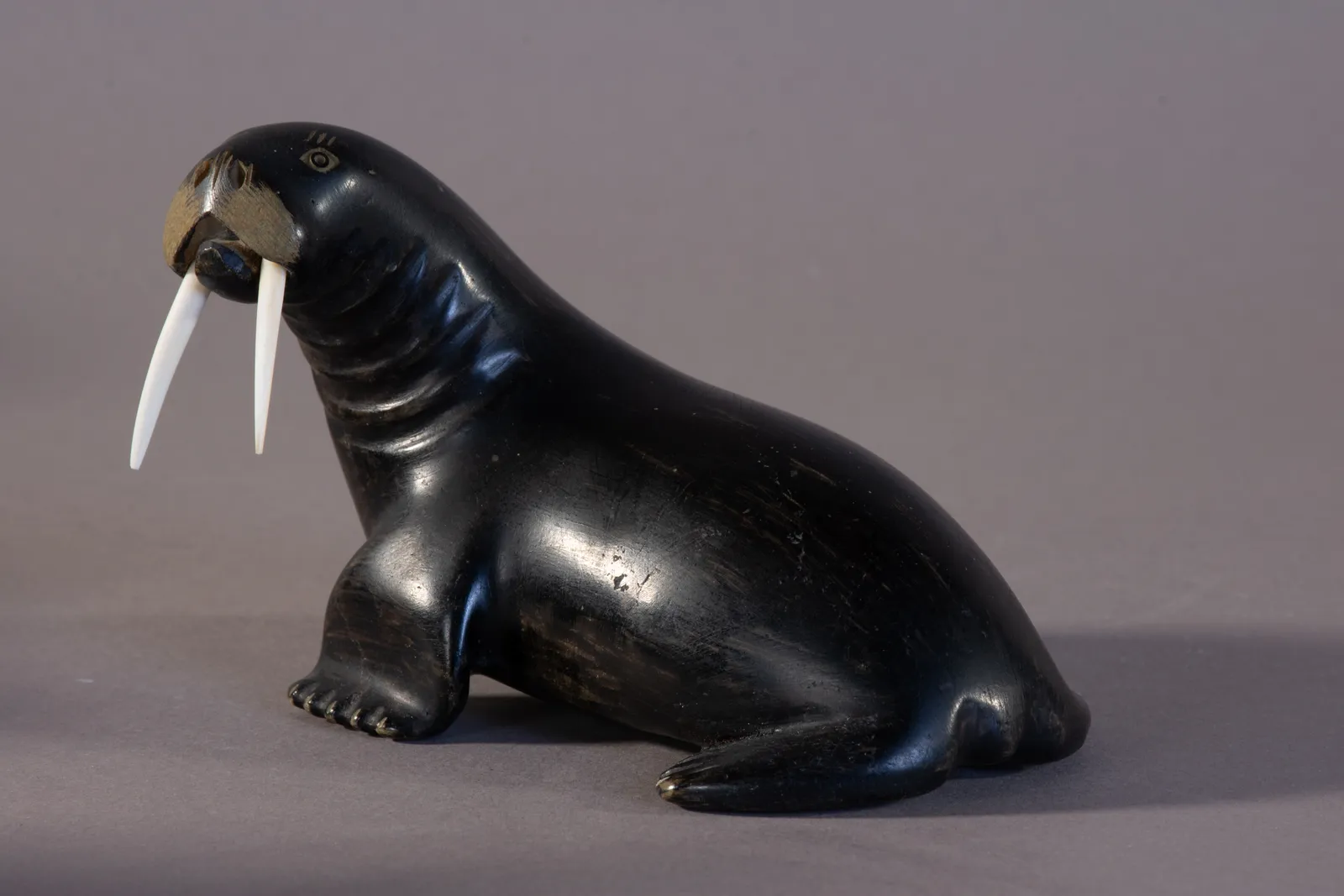 Nalenik Temela, Walrus / morse, ca. 1965