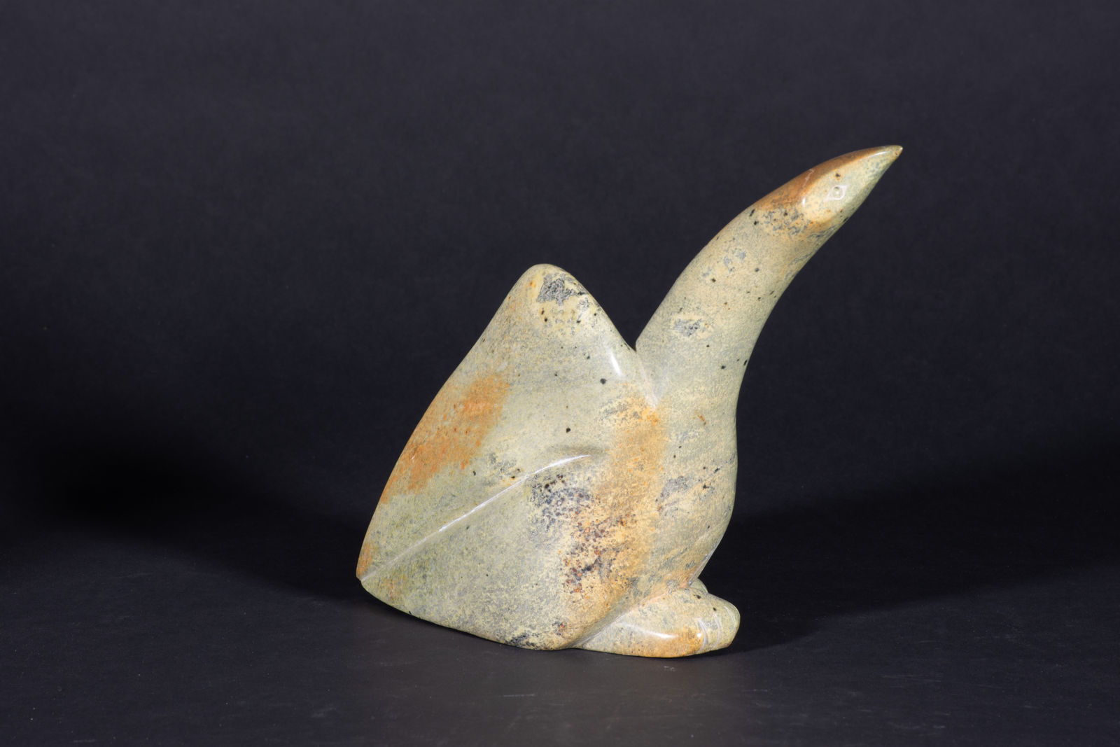 Mikkigak Kingwatsiak, Bird / oiseau, 1991