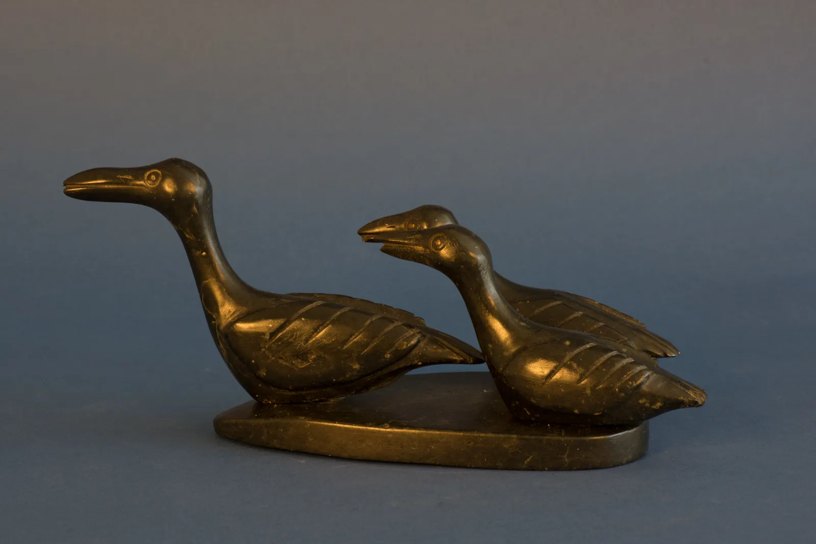 Levi Amidlak, Swimming Loons / huards nageant, ca. 1960