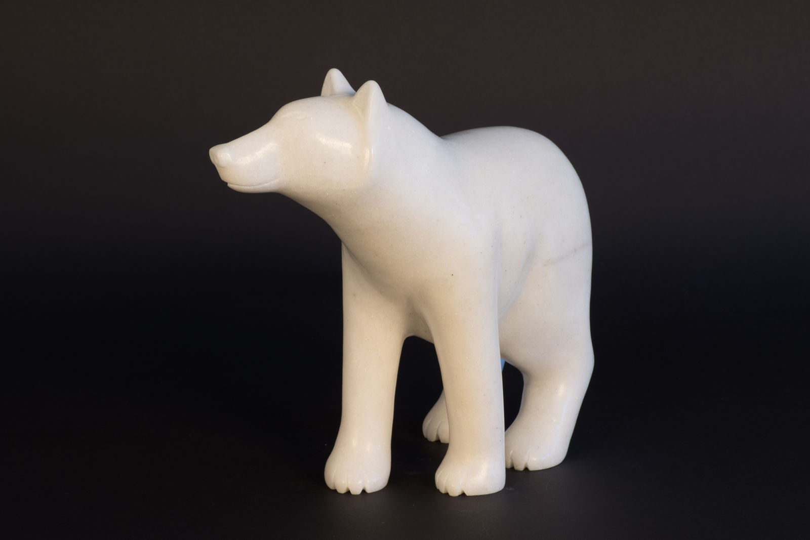 Matthew Flaherty, Wolf / loup, 2021