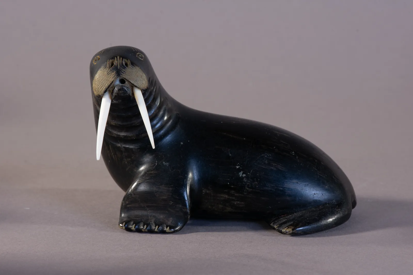 Nalenik Temela, Walrus / morse, ca. 1965