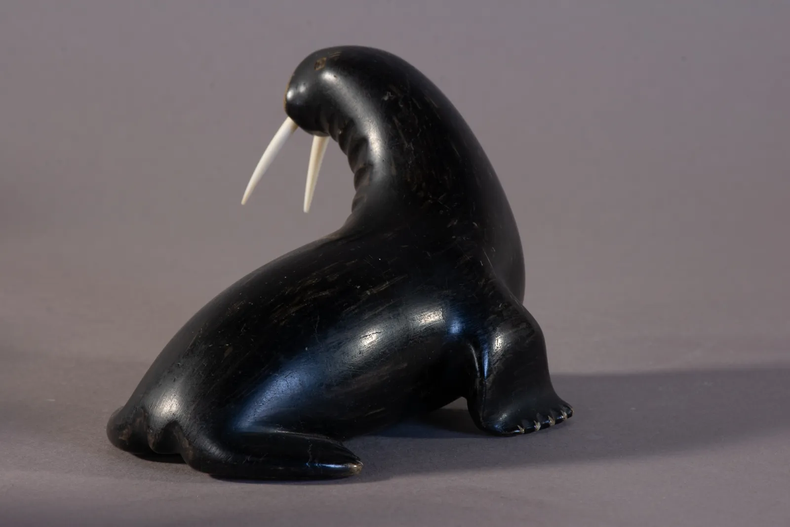 Nalenik Temela, Walrus / morse, ca. 1965