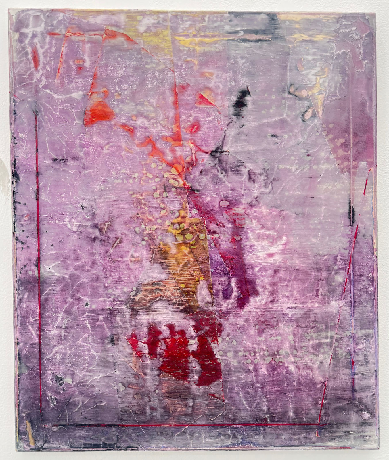 Jan Dickey, Violaceous Jay, 2025