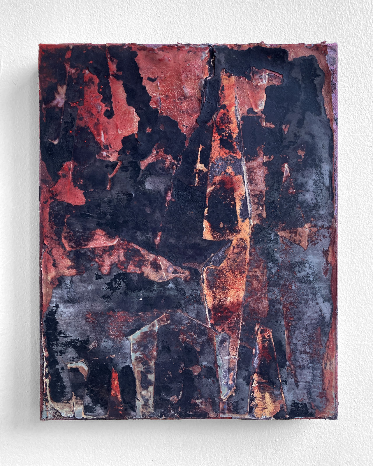 Jan Dickey, Woodpigeon, 2024