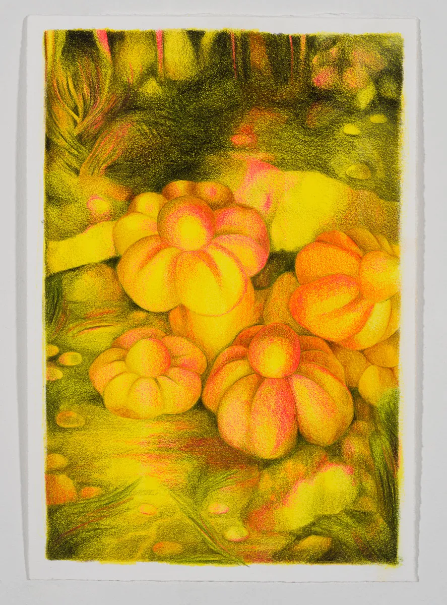 Hannah Antalek, Golden Hour, 2024