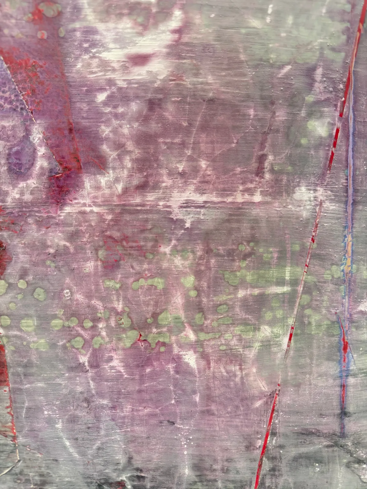 Jan Dickey, Violaceous Jay, 2025