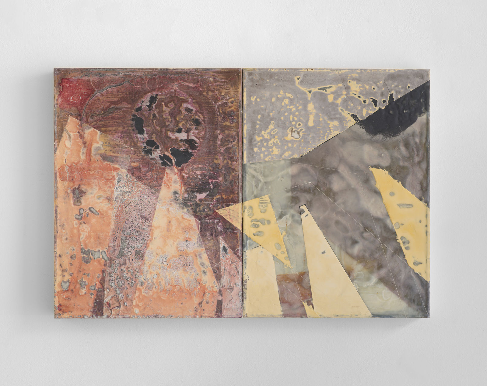 Jan Dickey, Evening Grosbeak, 2024