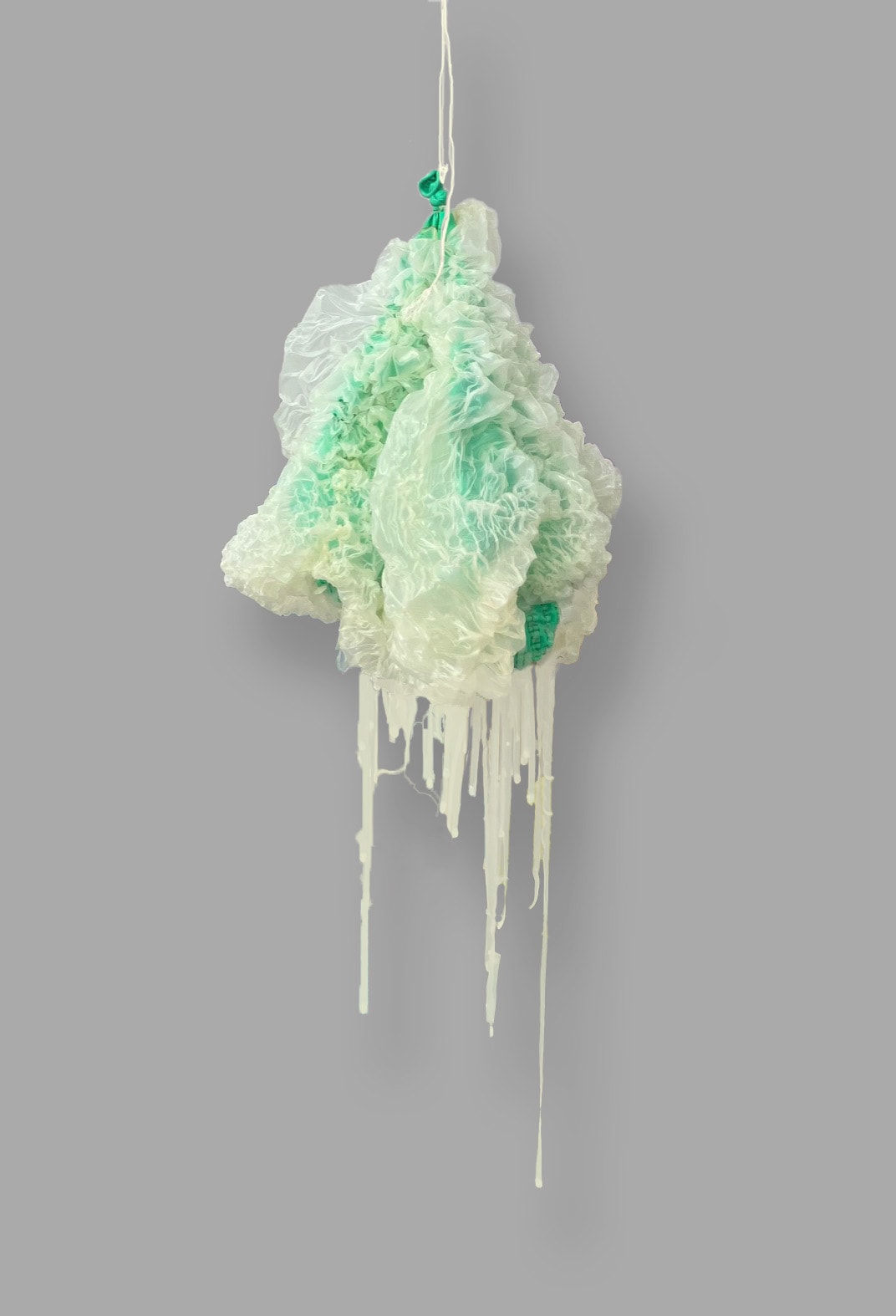 Lesley Bodzy, FOGO IX, 2024