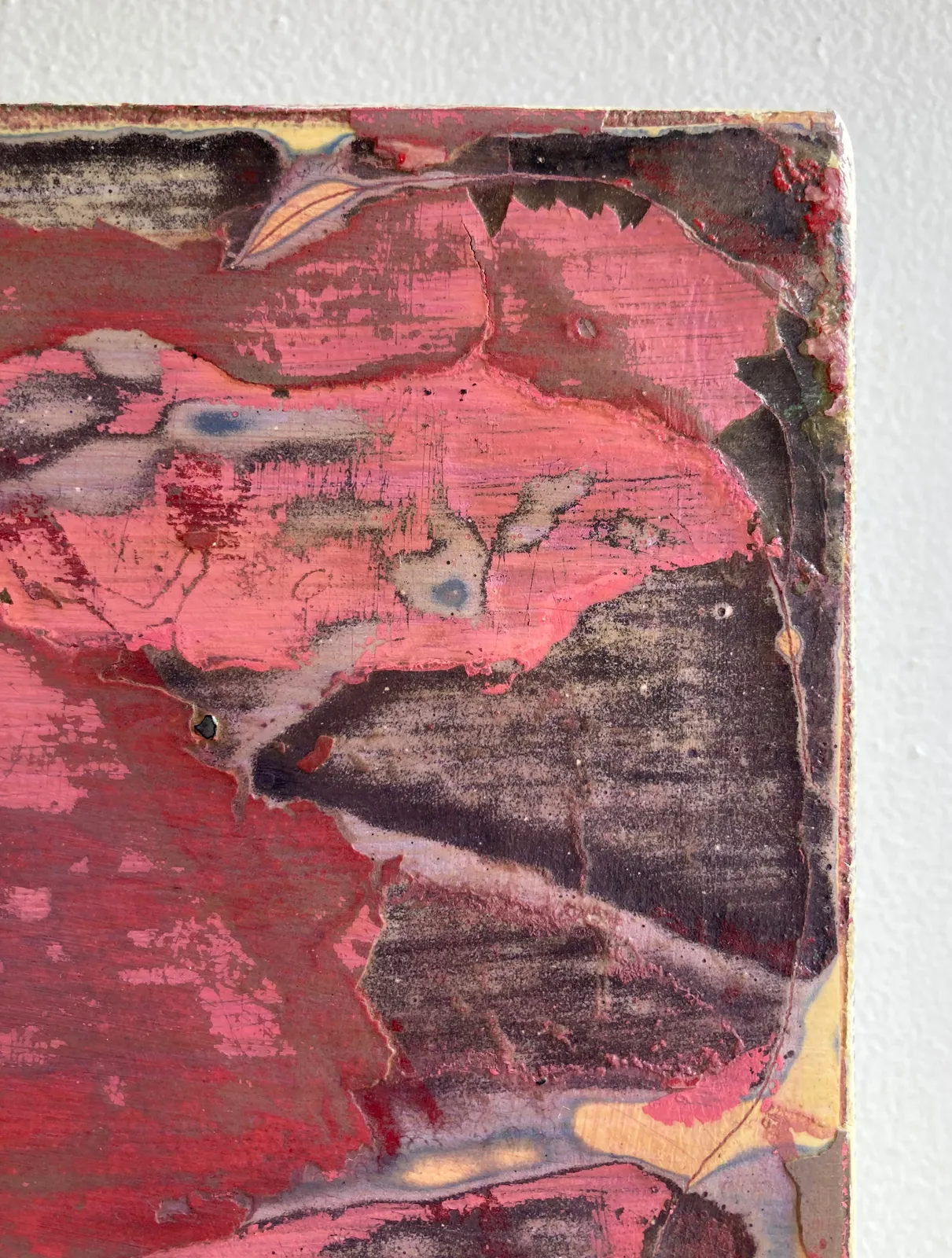 Jan Dickey, Cranberry Hibiscus, 2022