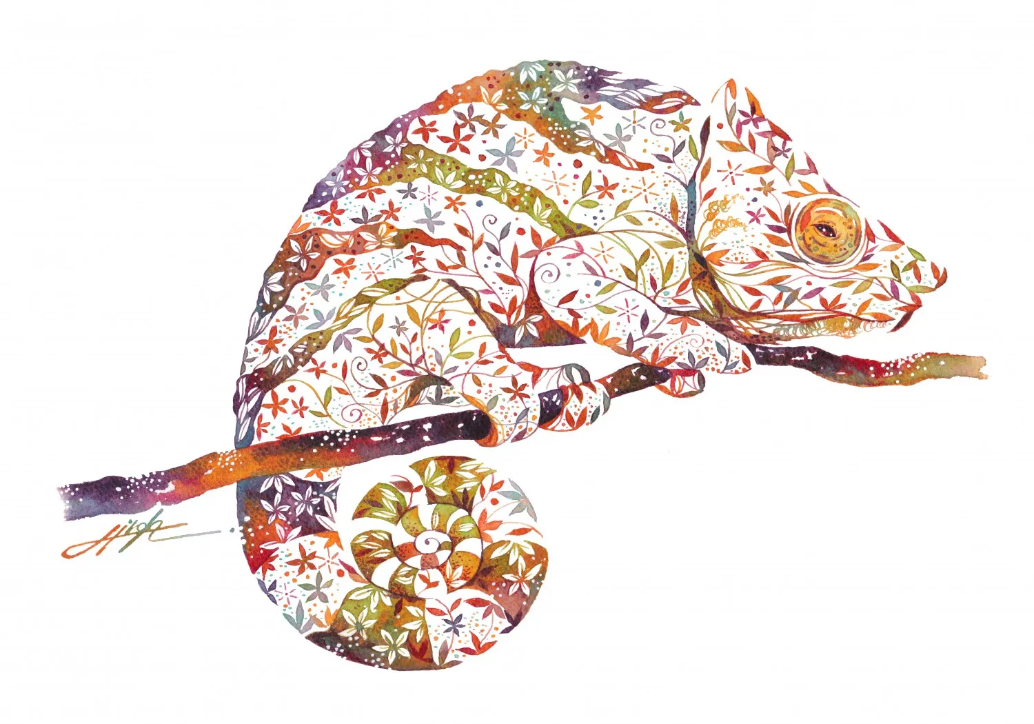 Hiroki Takeda, Chameleon