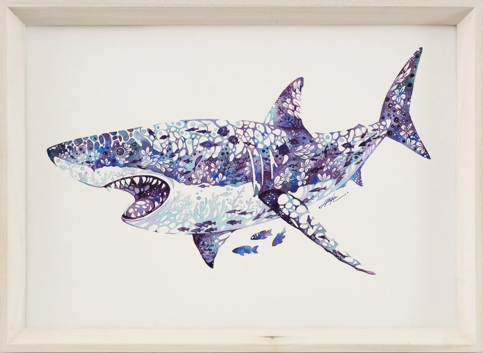 Hiroki Takeda, Shark