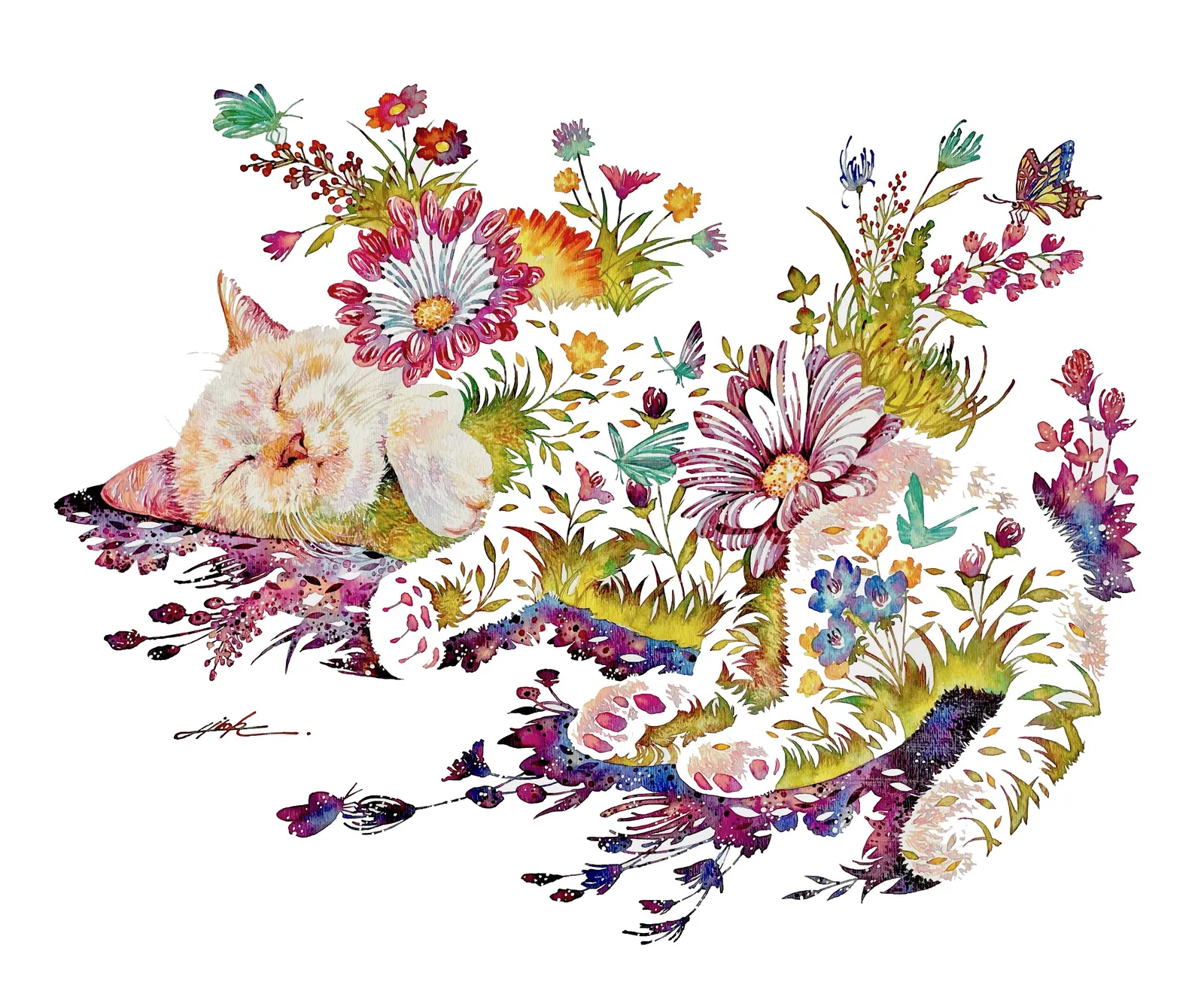 Hiroki Takeda, 眠るネコ