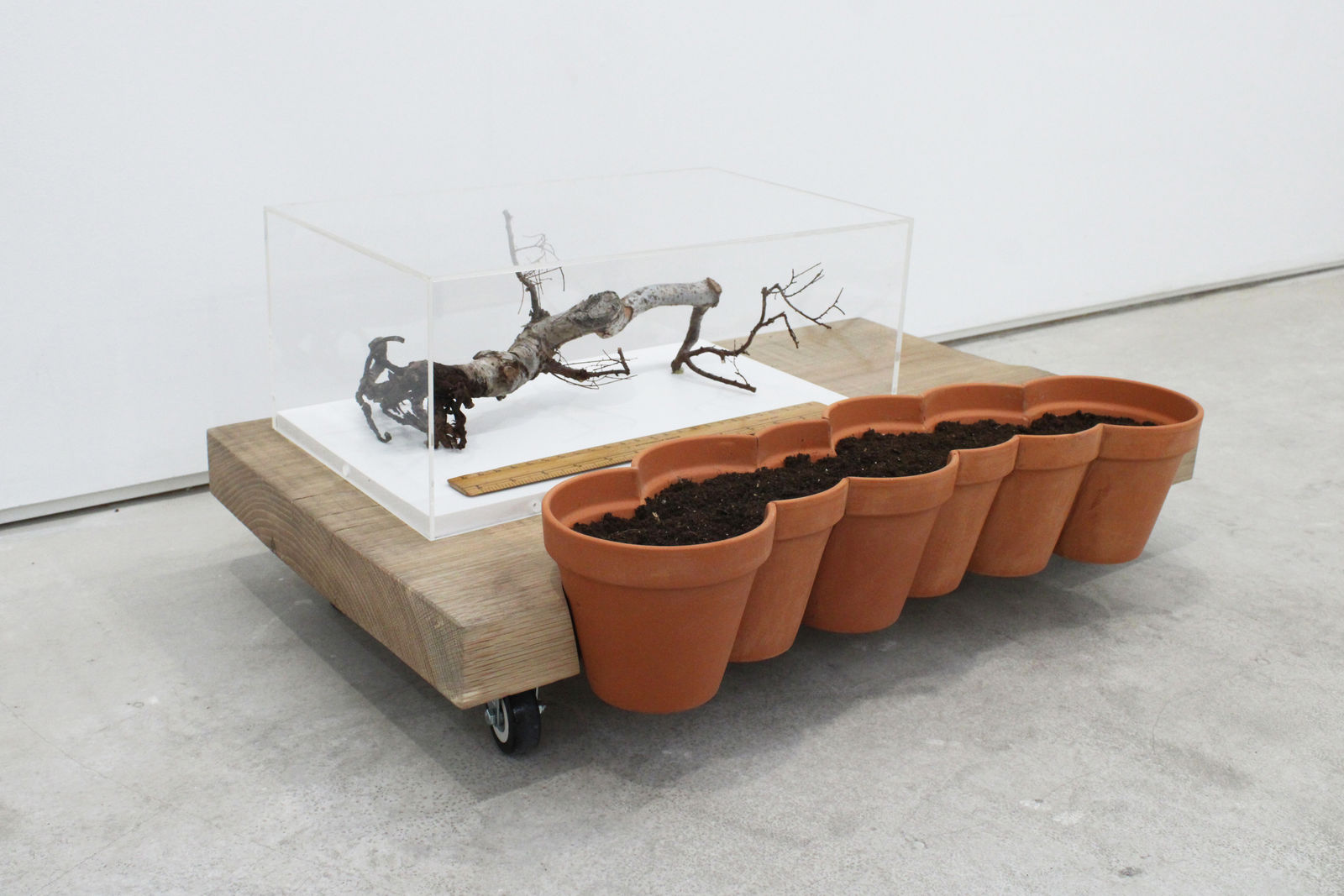 Martin Cordiano, The Strip, 2024