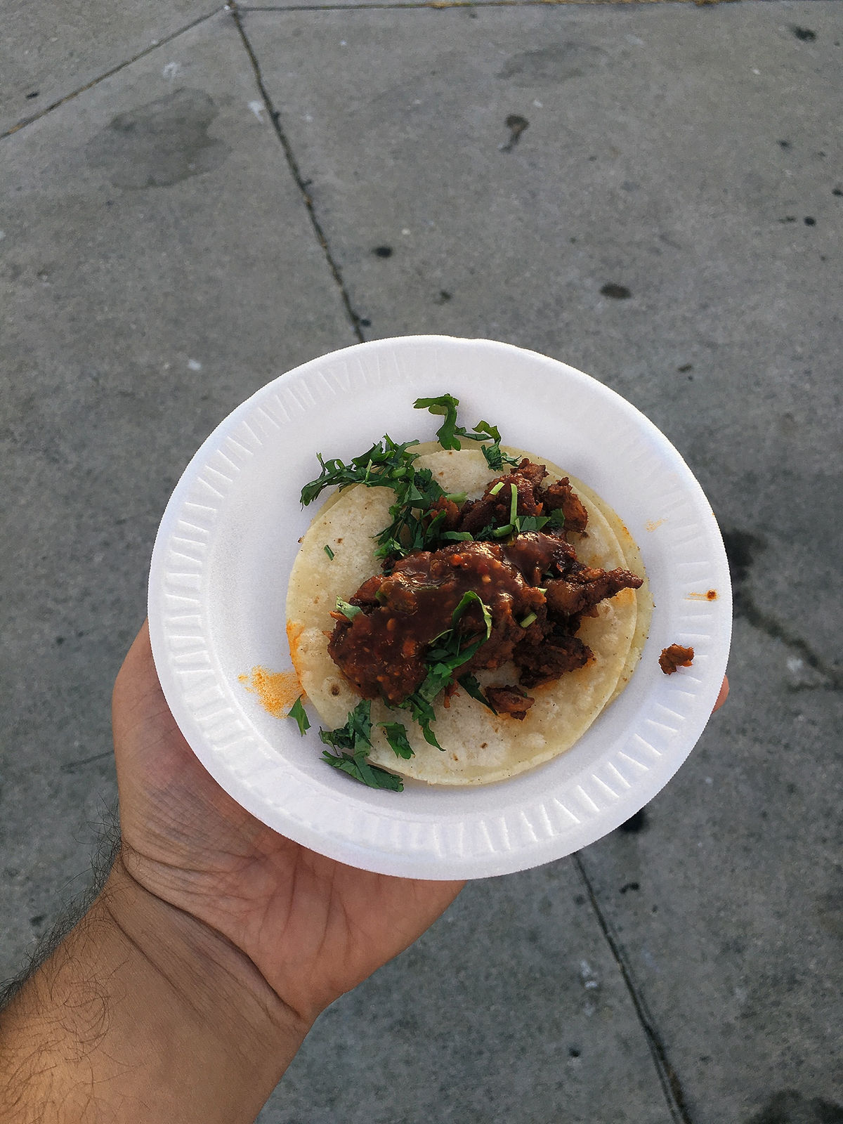 Arash Fayez, One dollar taco, 2016