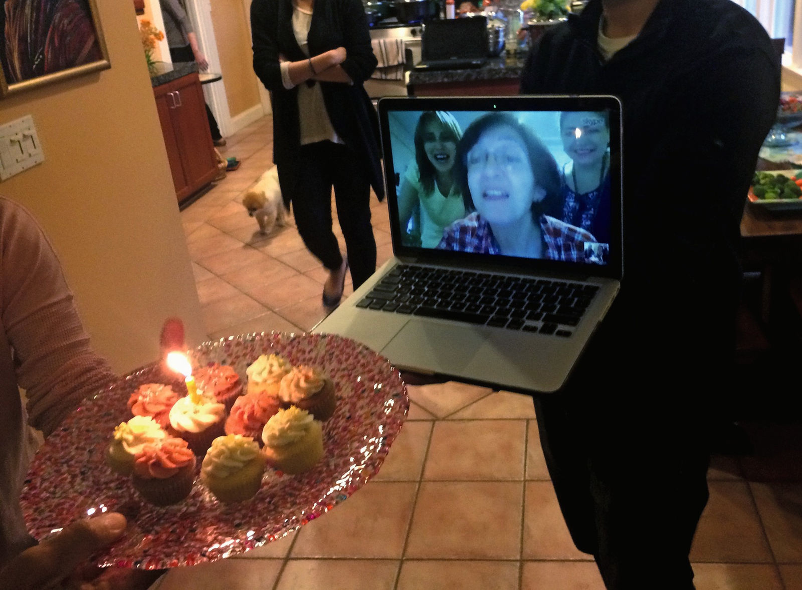 Arash Fayez, Online birthday, 2014