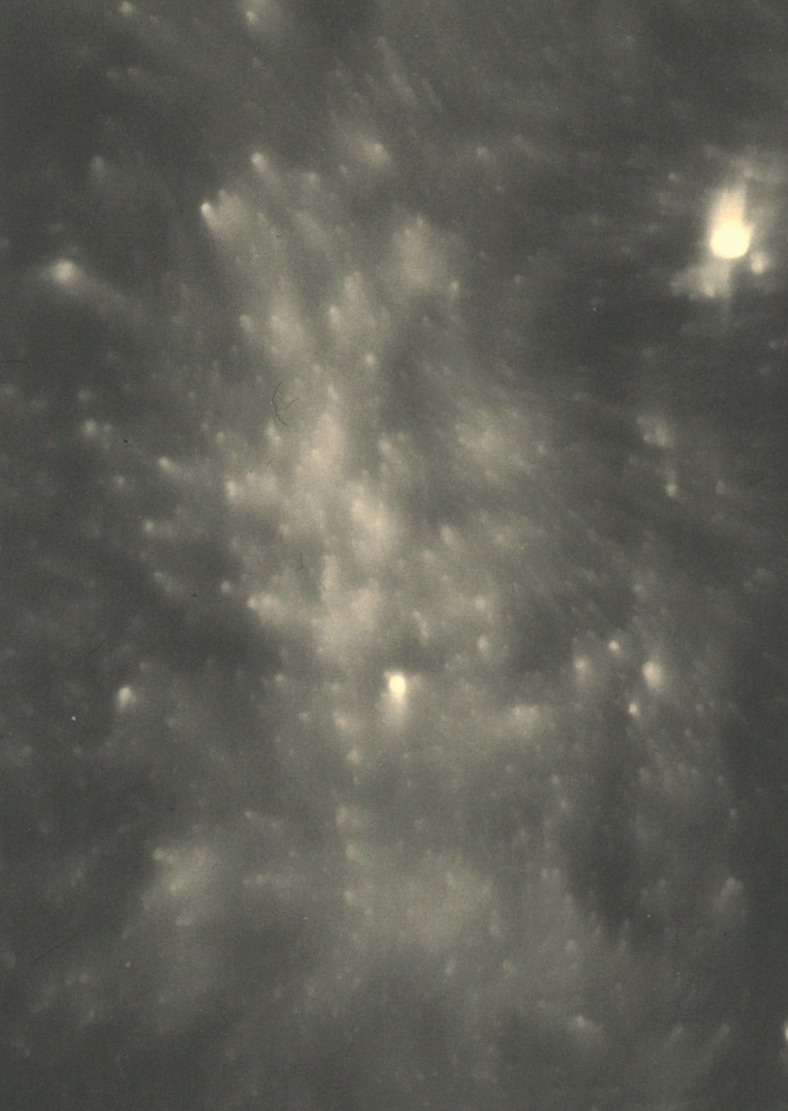 Hessam Samavatian, Galaxien #22-10, 2022