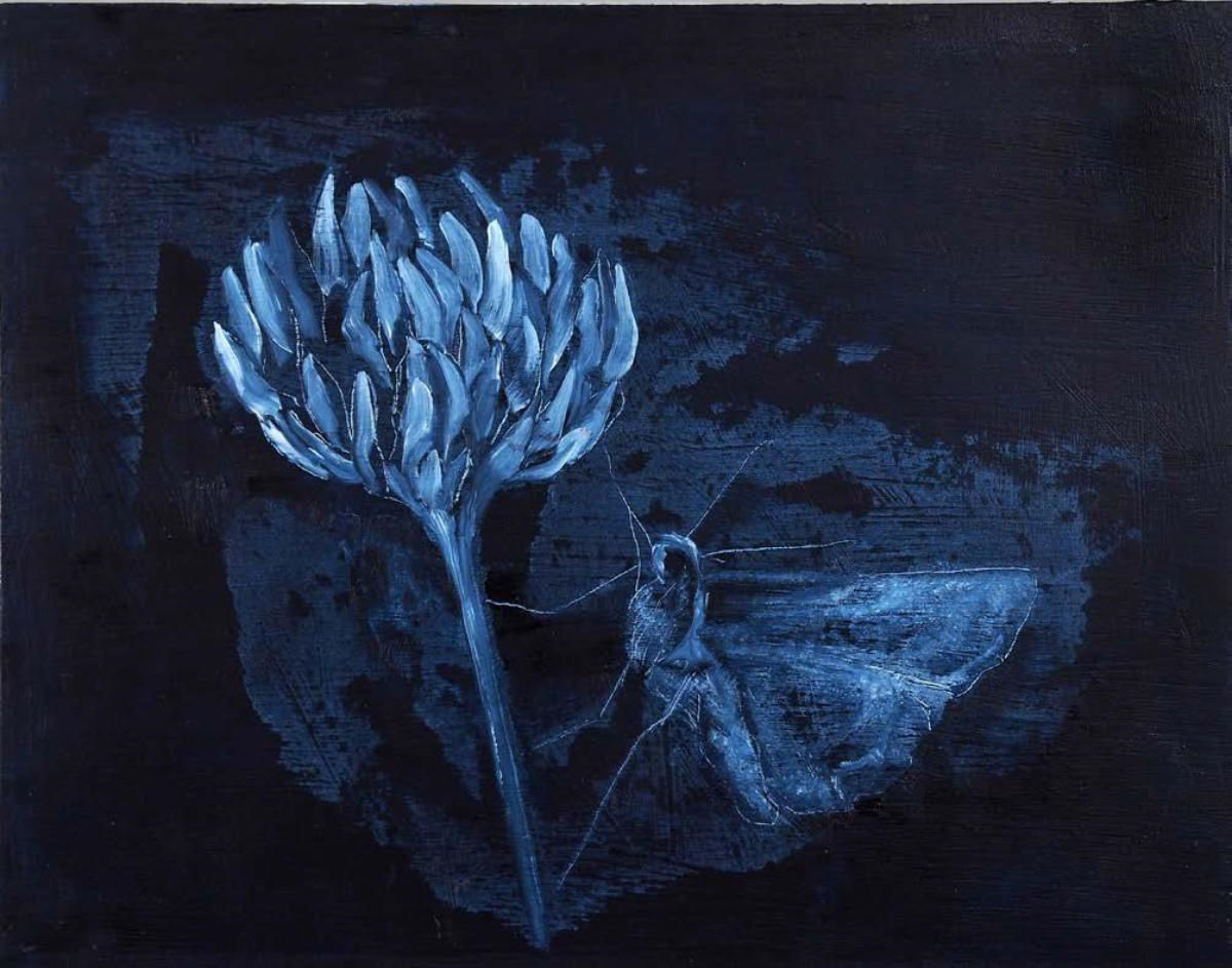 Avish Khebrehzadeh, Moth II, 2014